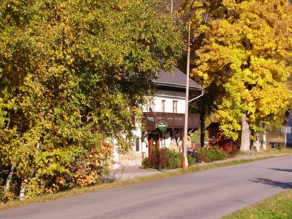 Hotel Penzion Bazum à Horní Vltavice Extérieur photo