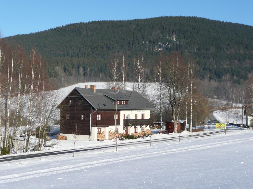 Hotel Penzion Bazum à Horní Vltavice Extérieur photo